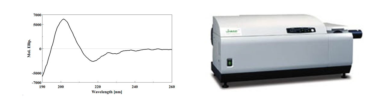 圆二色光谱检测蛋白高级结构