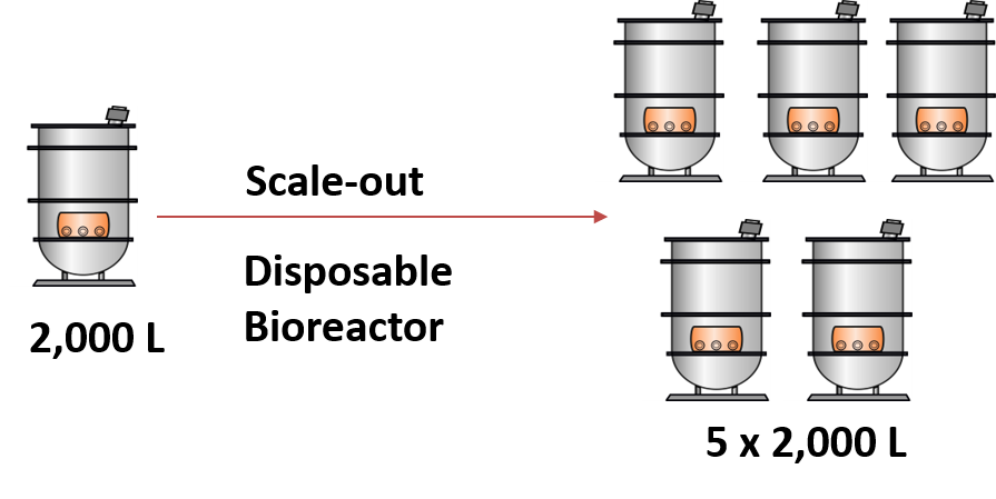 Scale-out生物药生产 - 原液